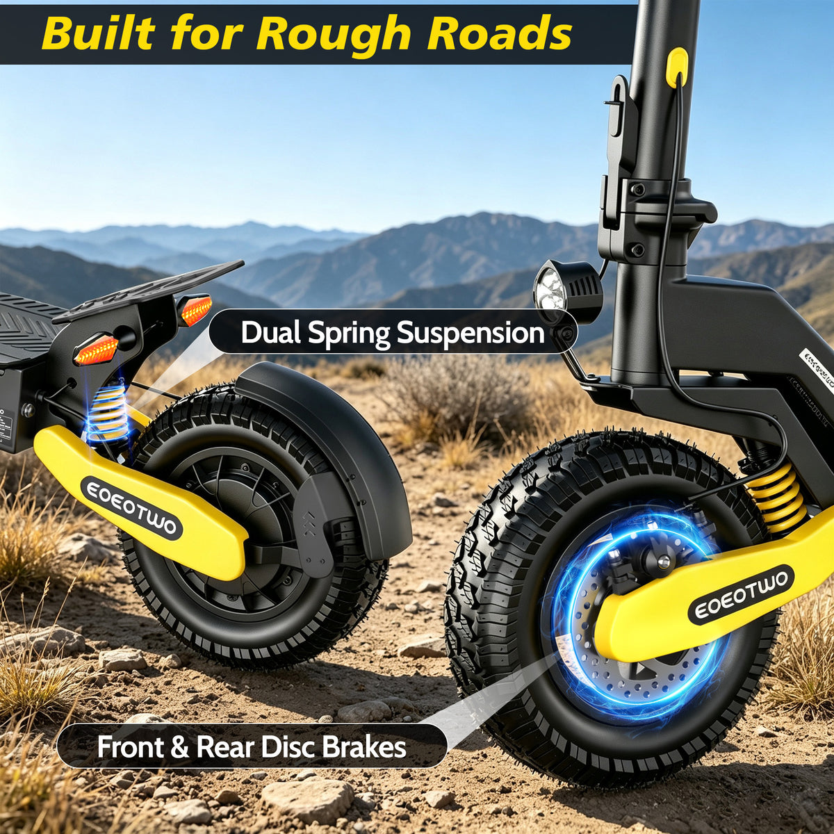 Dual spring suspension and disc brake detail